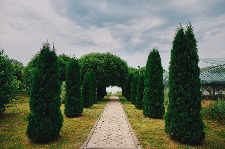 Фото к отзыву